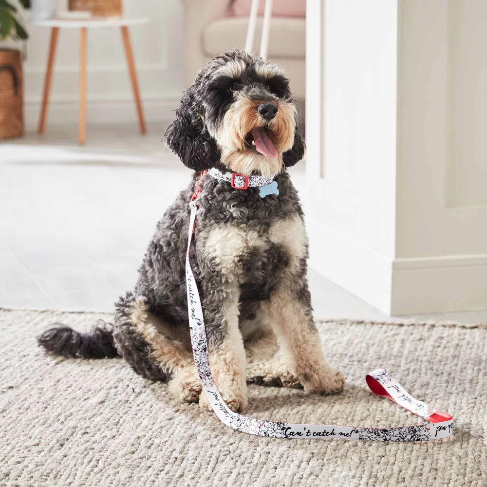 Disney Store Laisse Pour Chien Les 101 Dalmatiens – Image 3